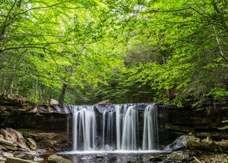 Ricketts Glen State Park