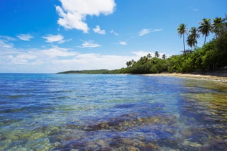 Seven Seas Beach Fajardo Puerto Rico