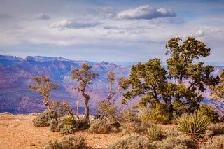 Grand Canyon Arizona