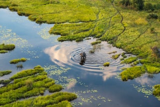 Okavango Delta Botswana