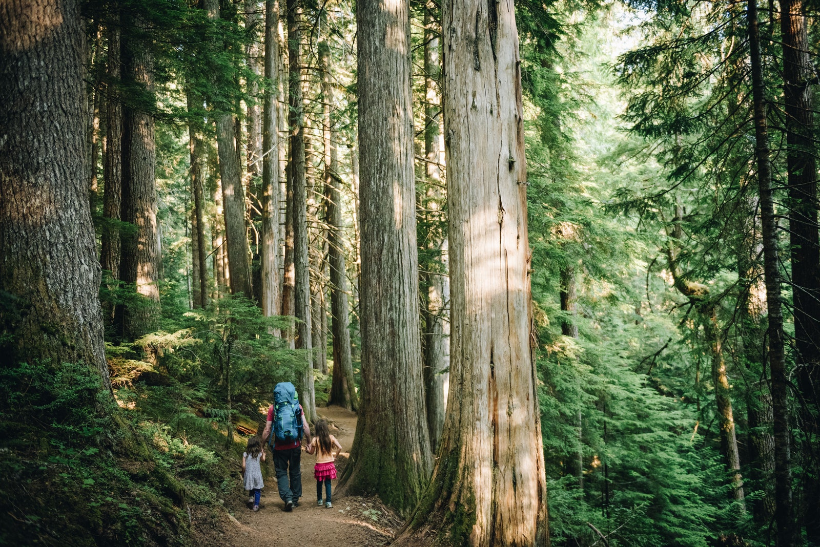 Father and Daughters hiking