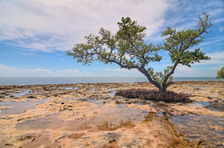 Bahia Honda State Park Florida Keys