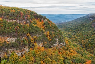 Cloudland Canyon State Park