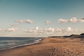 Delaware Cape Henlopen State Park