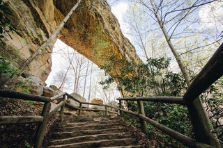 Kentucky Natural Bridge State Resort Park