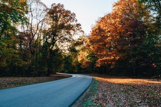 Indiana Brown County State Park