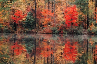 Hanging Rock State Park North Carolina USA