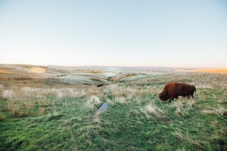 South Dakota Custer State Park