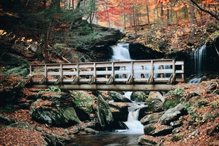 Pennsylvania Ricketts Glen State Park