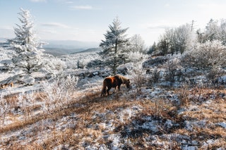 Virginia Grayson Highlands State Park