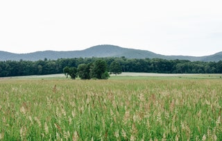 Massachusetts Mount Holyoke Range State Park