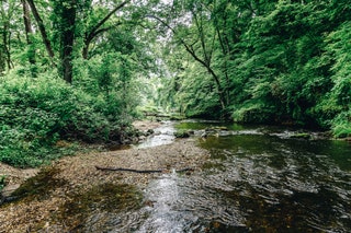 Iowa Backbone State Park