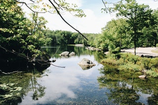 Rhode Island Lincoln Woods State Park