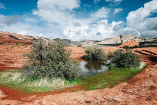 Utah Snow Canyon State Park