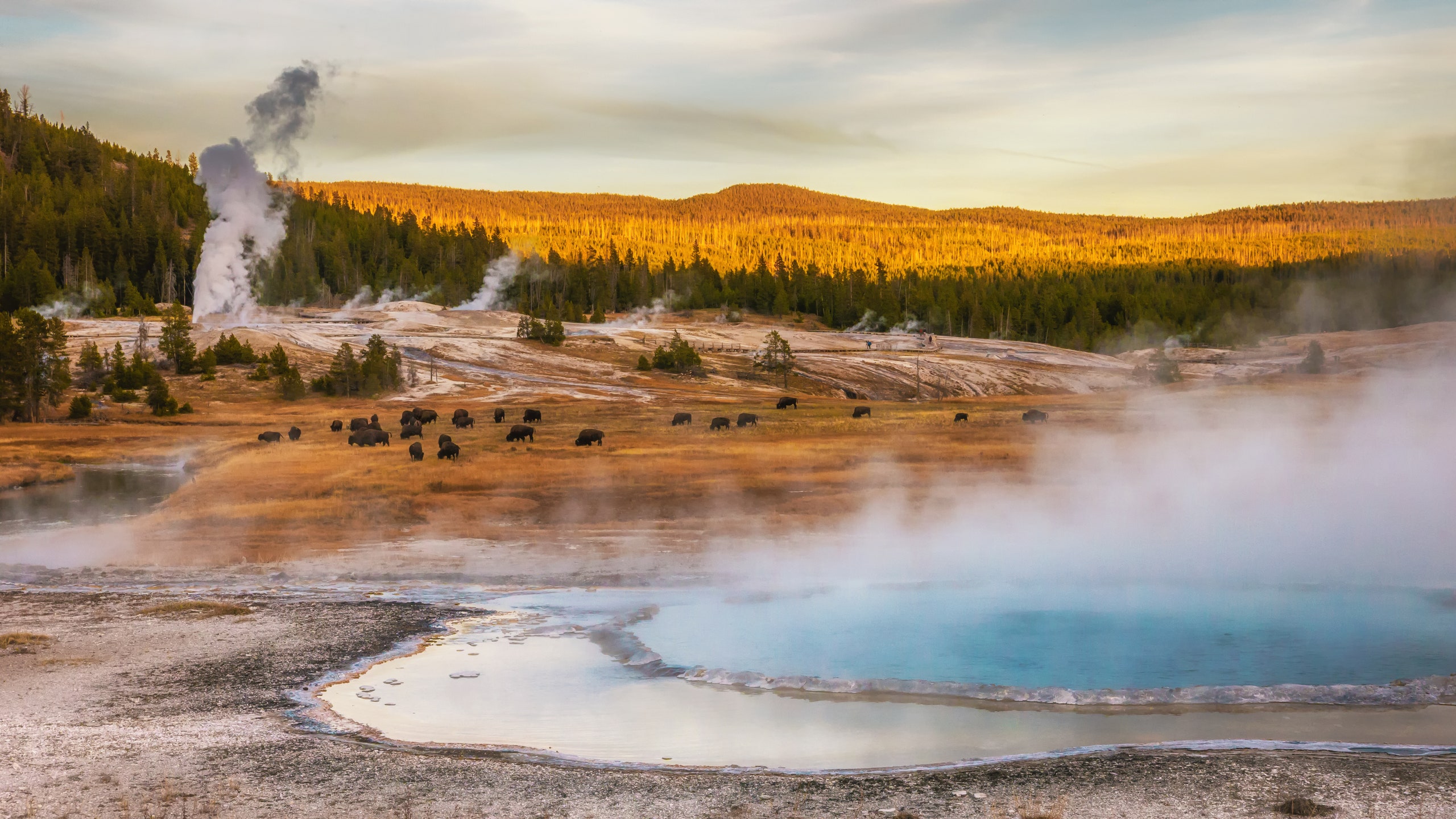 Yellowstone National Park Wyoming USA