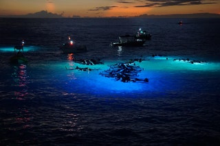 Manta Ray Night Dive Kailua Kona Hawaii