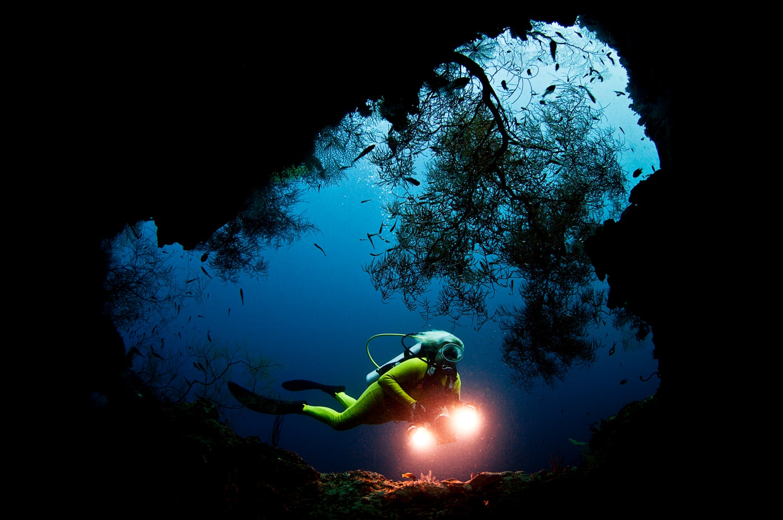 Scuba Certified Papua New Guinea