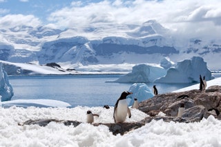 Antarctica is truly the final frontier when it comes to adventure travel providing untouched landscapes unique wildlife...