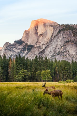 YosemiteNationalPark