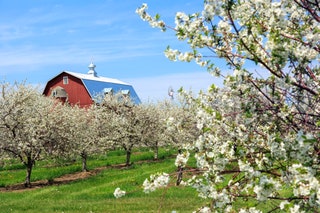 This narrow peninsula jutting off the northeast of Wisconsin is one of the Midwests most beloved vacation spots thanks...