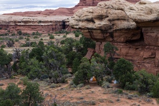 Image may contain Nature Outdoors Wilderness Rock Plant Vegetation Cliff Tree Mesa Mountain Valley and Landscape