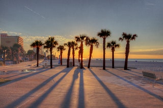 Image may contain Palm Tree Plant Tree Bench Furniture Nature Outdoors Sky Summer Water Waterfront and City