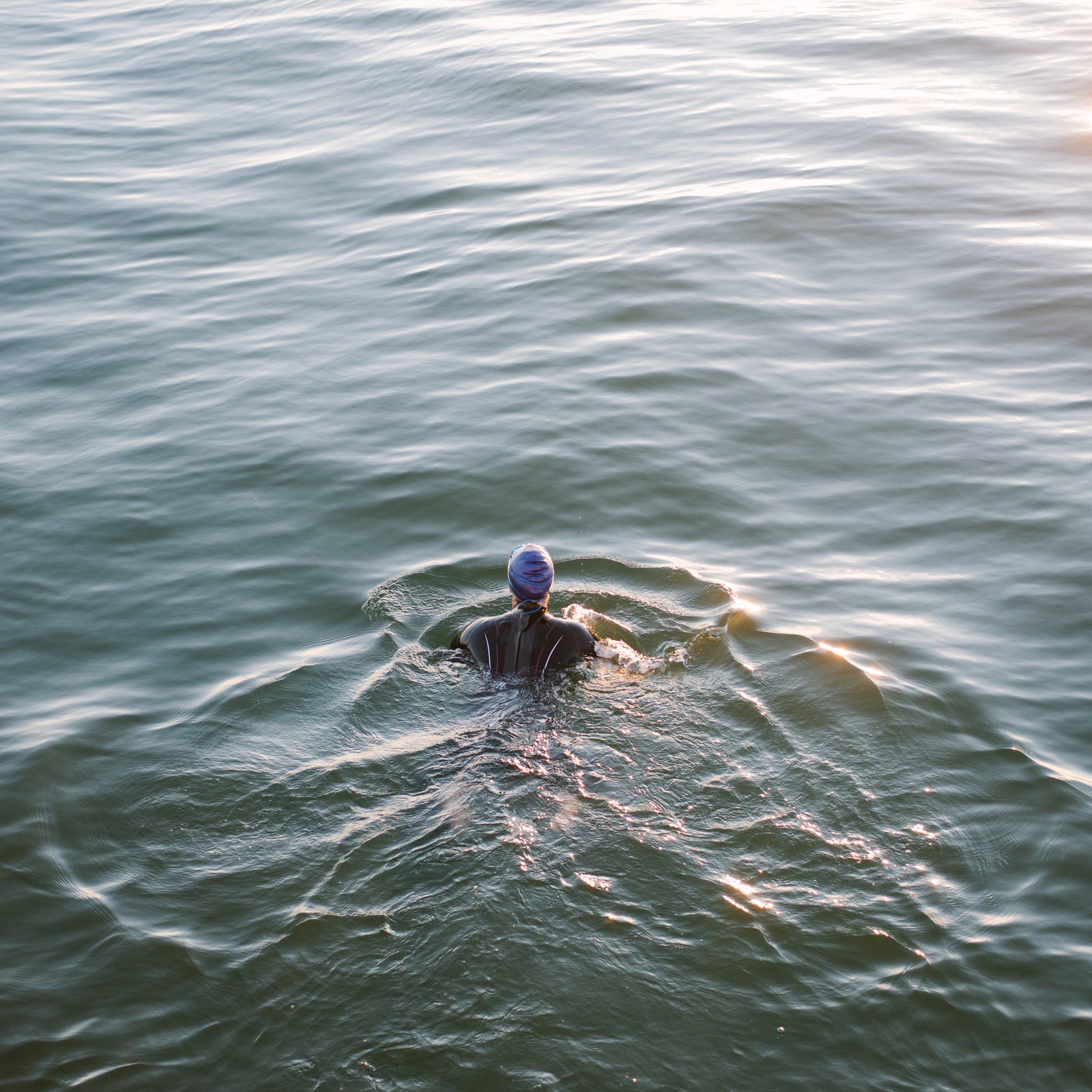 The Fear and Fame of Wild Swimming the World's Seas