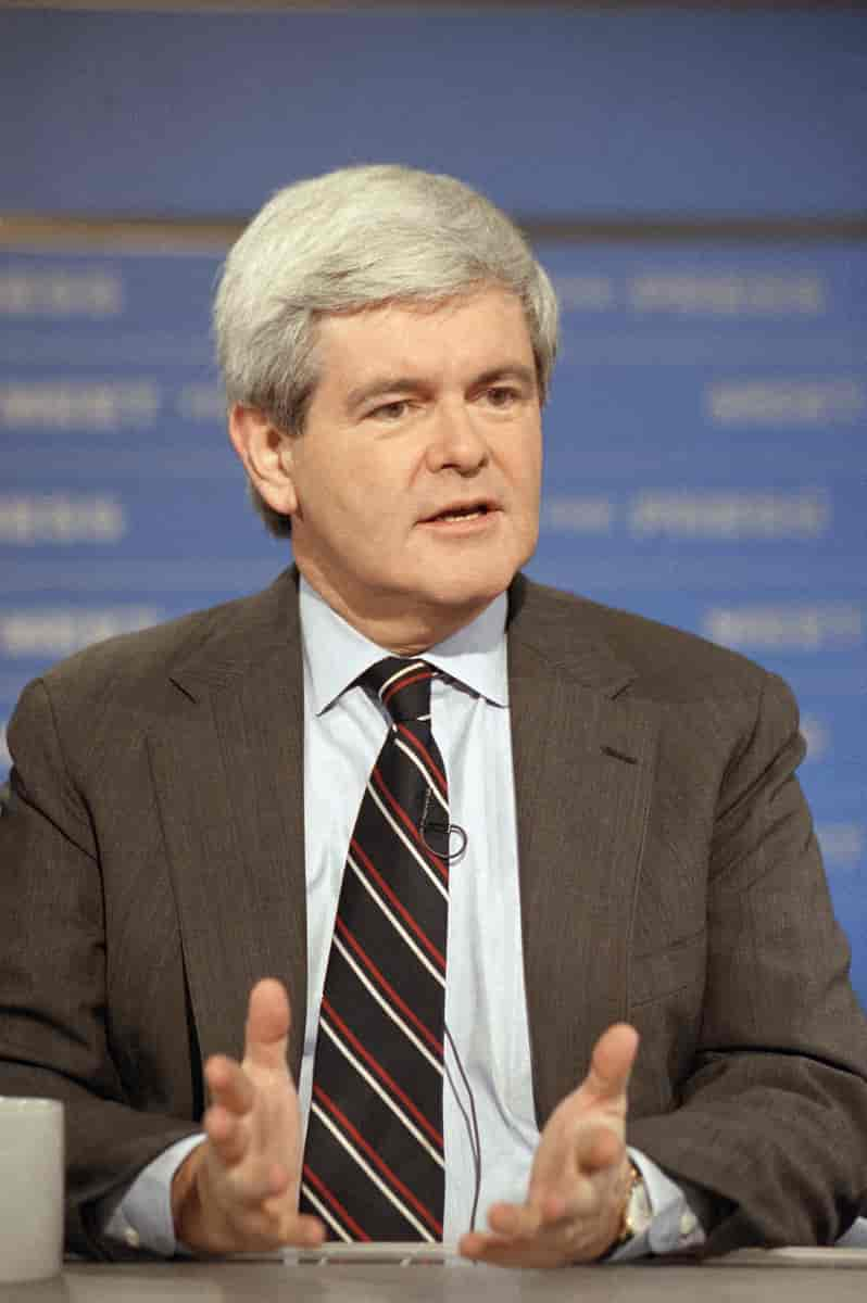 Newt Gingrich, 1993