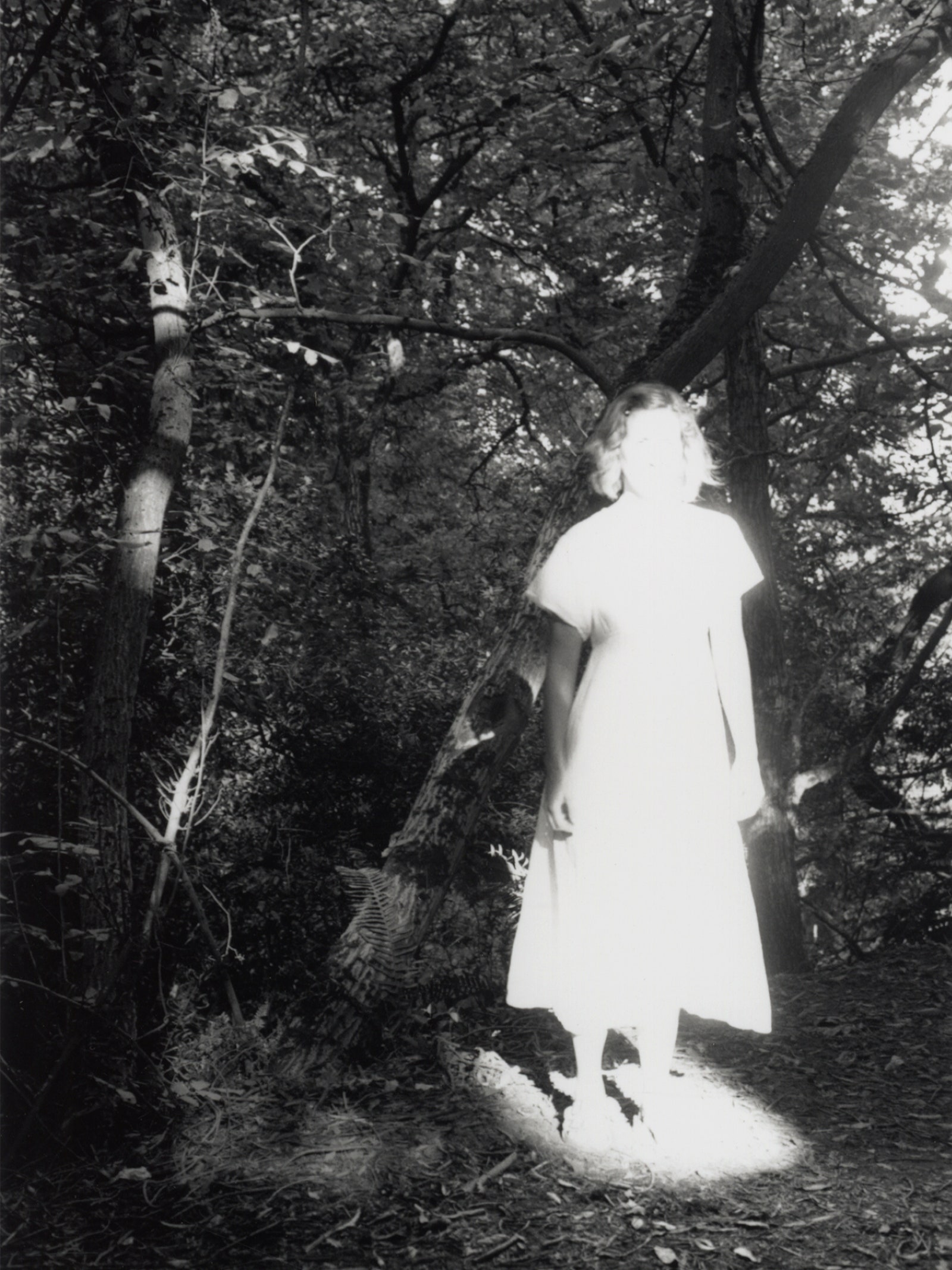 A person with shoulderlength hair stands in a bright beam of light in a forest.