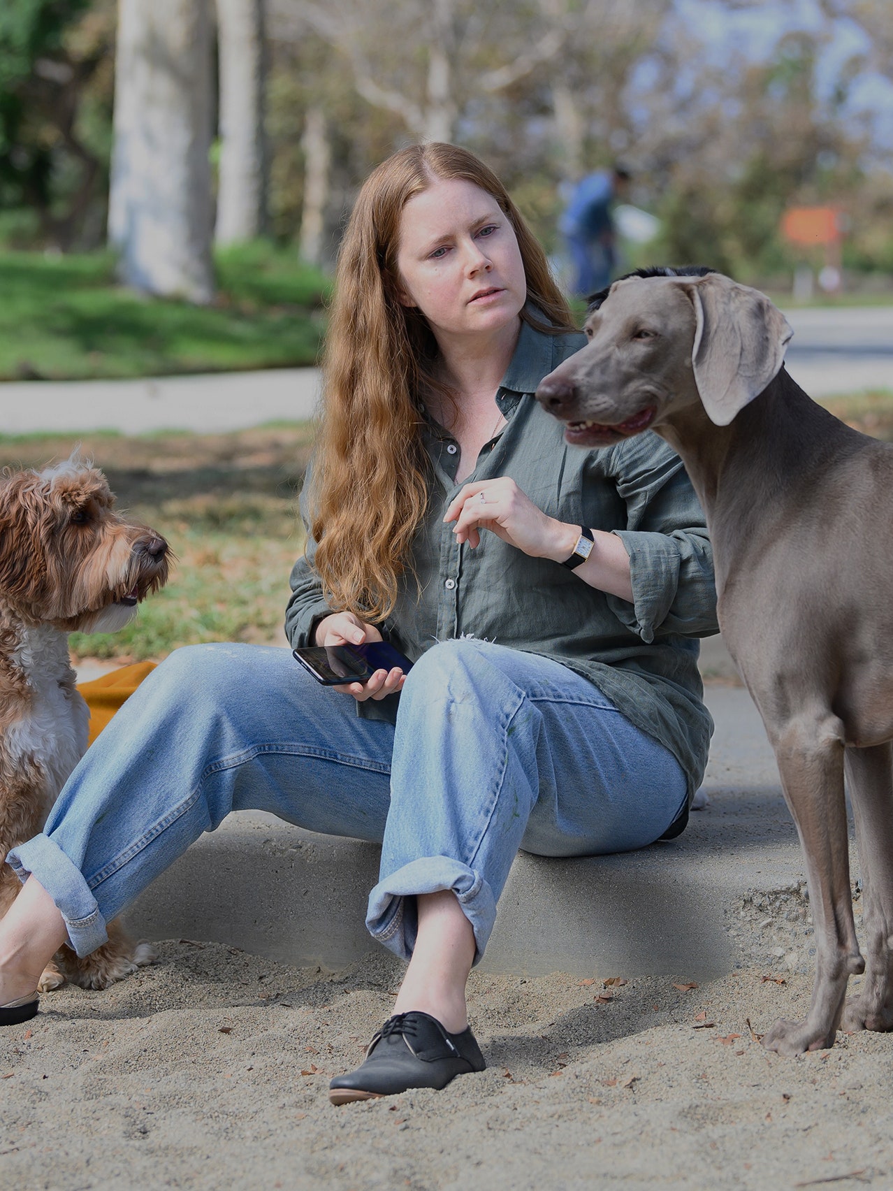 A person sits with two dogs.