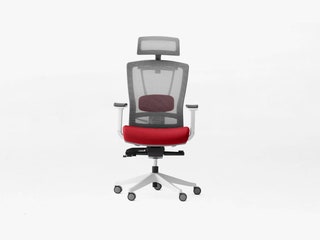 Autonomous ErgoChair Pro