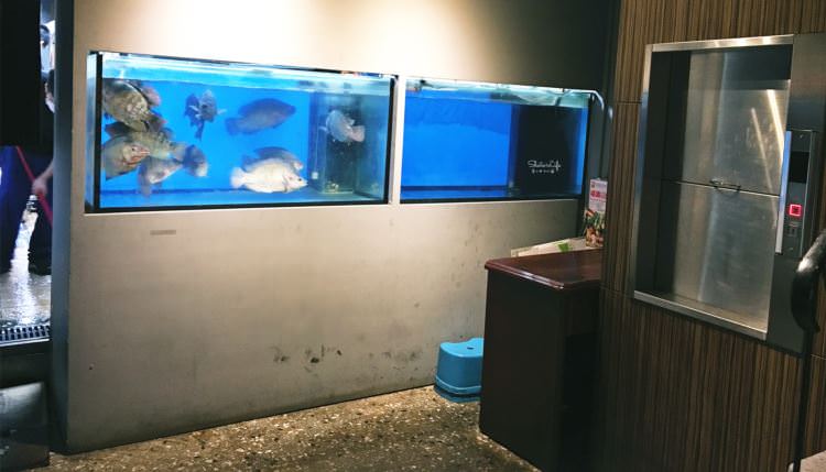 台中西區美食 城裡城外 巫山烤魚 大陸人老闆來台展店 打卡就送涼茶 活魚料理現點現烤 美村路一段餐廳 台灣鯛 鱘龍魚