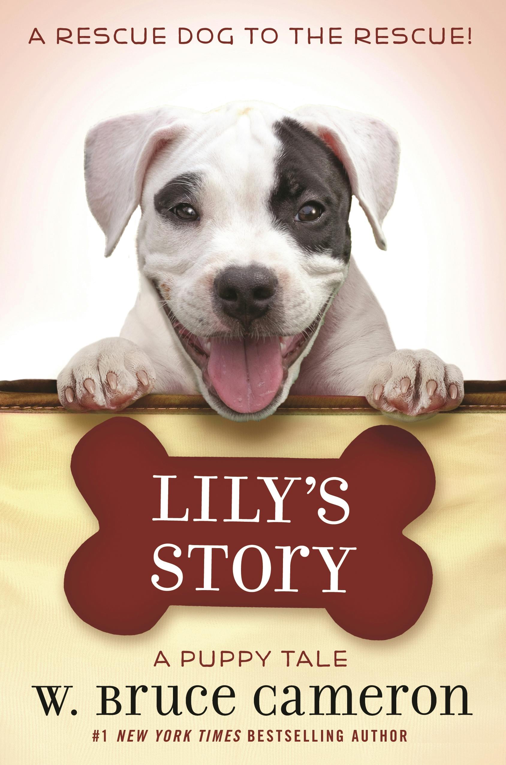 Cover for the book titled as: Lily's Story