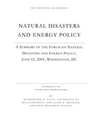 Cover Image: Natural Disasters and Energy Policy