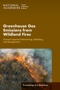 Greenhouse Gas Emissions from Wildland Fires: Toward Improved Monitoring, Modeling, and Management: Proceedings of a Workshop