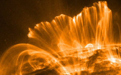 Coronal Loops