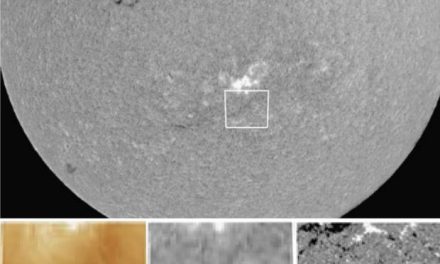 Not much happening? This "quiet" area (right) gave birth to the March 2, 2011 CME. It is shown at bottom in ultraviolet (19.3nm) by NASA's Solar Dynamics Observatory, H-alpha (656.3nm) by the Big Bear Solar Observatory, and as a magnetographic map, also by SDO. In the last, white is north (positive) polarity, black is south (negative) polarity, and gray is where the structure is so fine that the signals wash together. Credit: NASA, NJIT/BBSO.