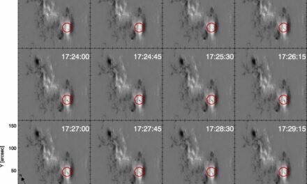 A time series of line-of-sight magnetograms observed by SDO/HMI, showing active region NOAA 11429. Note the appearance of a transient patch of negative polarity (black) magnetic field emerging in the positive polarity (white) penumbra of the main sunspot, outlined by the red circle.