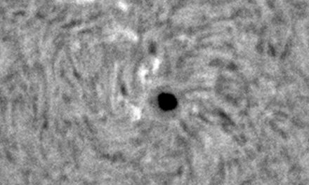 Sunspot 11092, observed on Aug. 3, 2010.