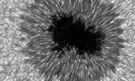 High-resolution image of sunspot produced with the new camera attached to the Dunn's adaptive optics system.