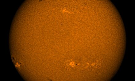 A new sunspot peeks around the edge of the Sun, as predicted by NSO scientists