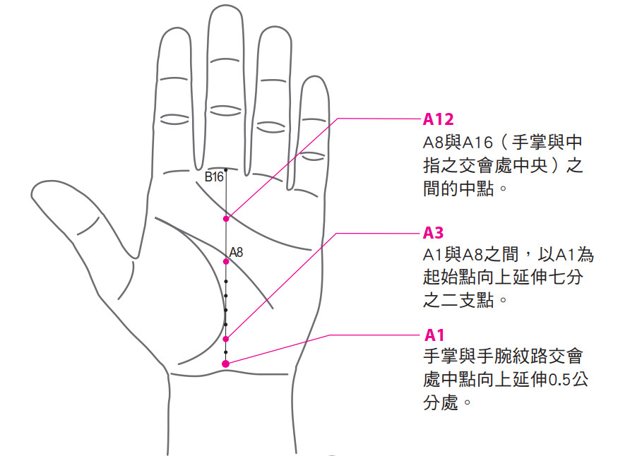 ▲《全圖解手針》書摘。（圖／和平國際提供）