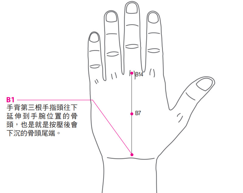 ▲《全圖解手針》書摘。（圖／和平國際提供）