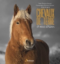 François Barruel - Chevaux de terre & vent d'hiver.