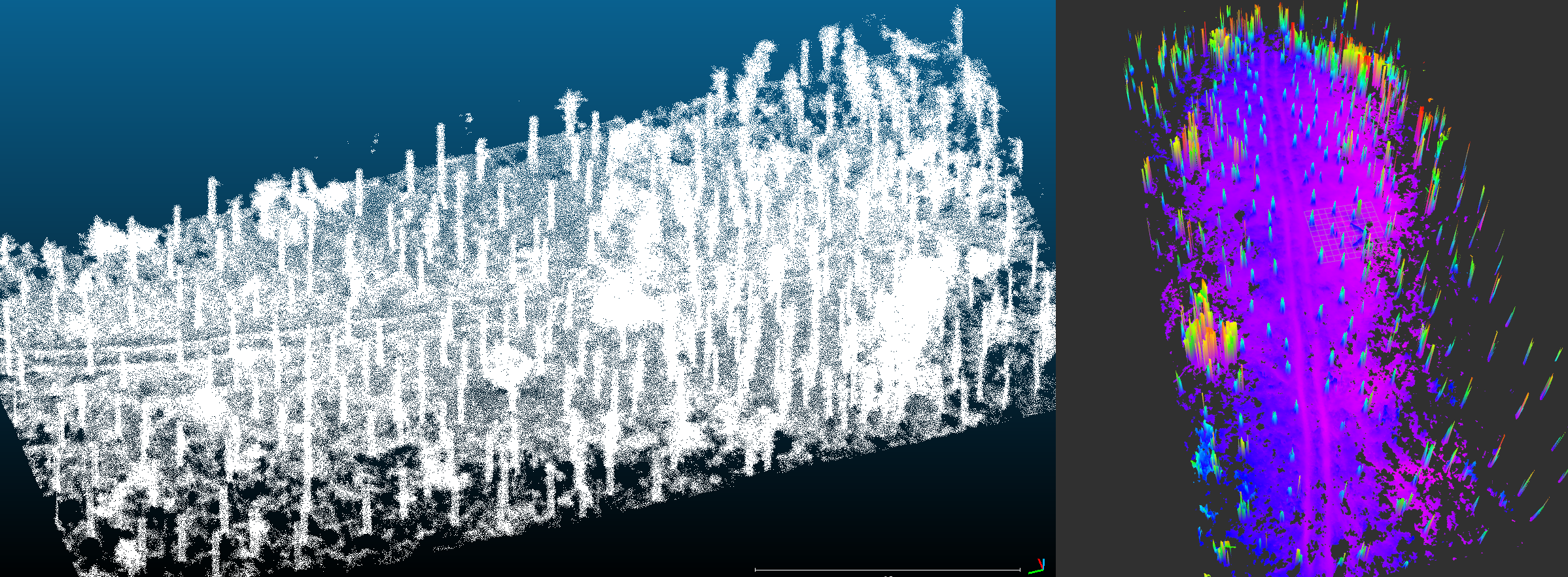 Example of a forest dataset