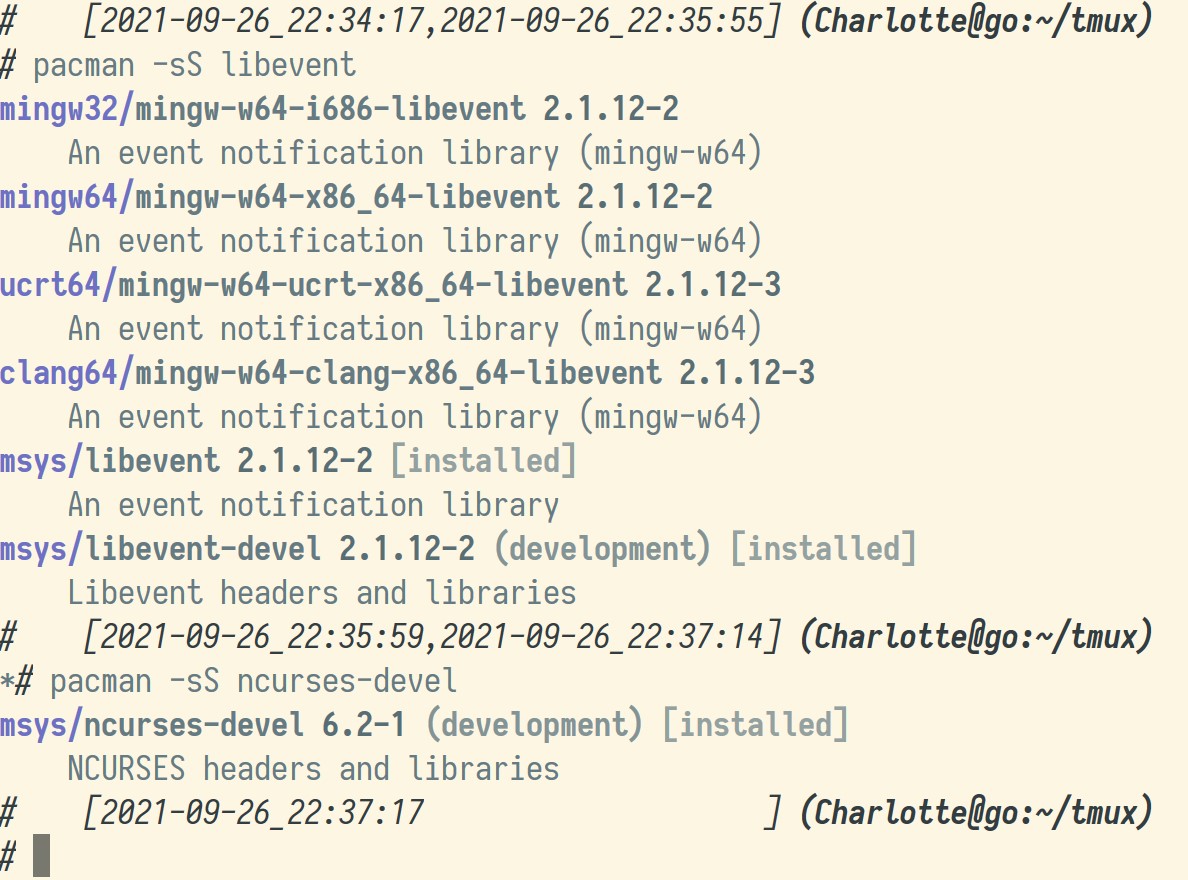 pacman from msys2 inside Windows Terminal