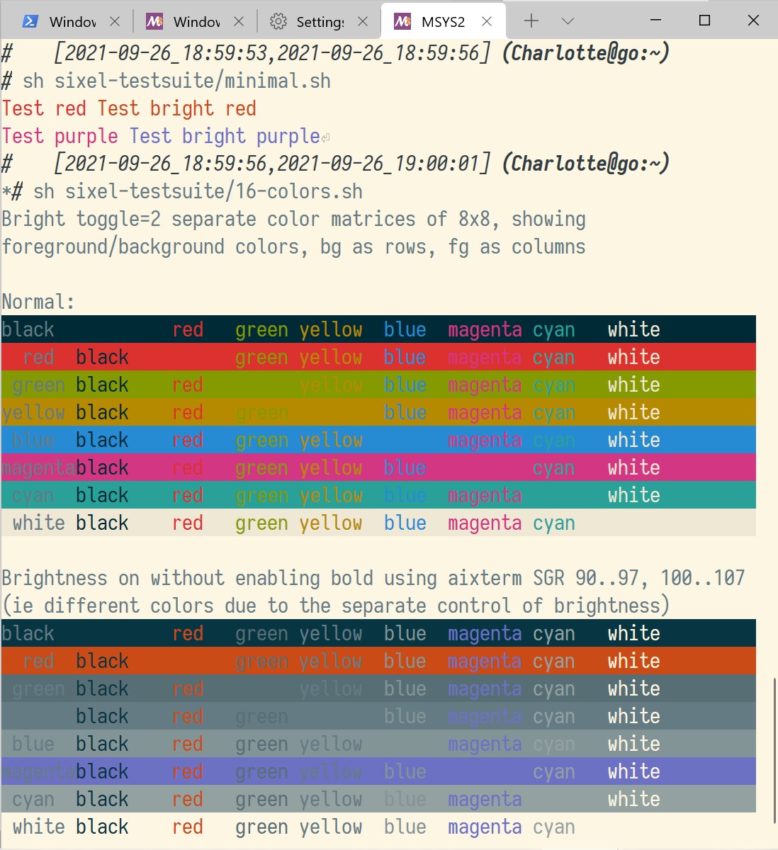 Windows Terminal with Solarized custom running tests