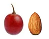 Fruit & Nut