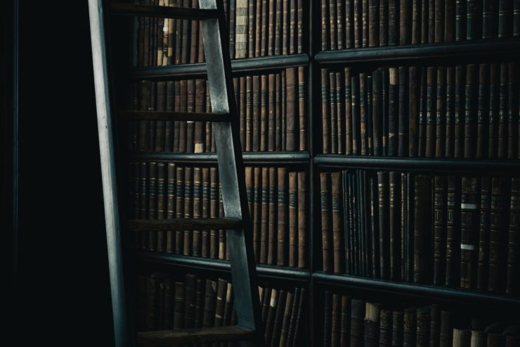 Photo of a dark bookshelf with a ladder