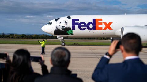 طائرة شحن من شركة "فيد إكس" FedEx الملقبة ب"باندا إكسبريس" Panda Express تهبط في مطار دول في عاصمة الولايات المتحدة واشنطن وعلى متنها دبي باندا من الصين في عودة لدبلوماسية الباندا الصينية 15/10/2024